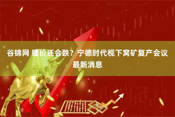 谷锦网 锂价还会跌？宁德时代枧下窝矿复产会议最新消息