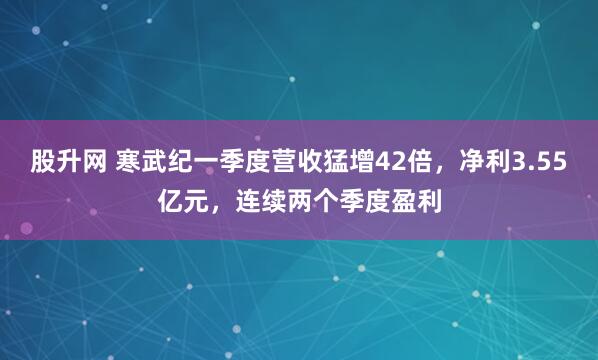 股升网 寒武纪一季度营收猛增42倍，净利3.55亿元，连续两个季度盈利