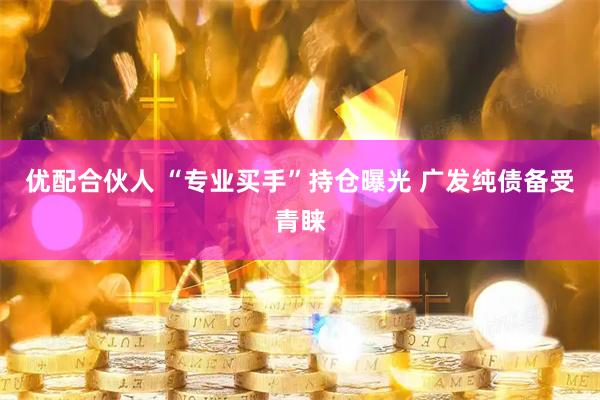优配合伙人 “专业买手”持仓曝光 广发纯债备受青睐