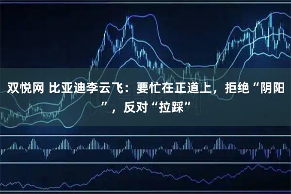 双悦网 比亚迪李云飞：要忙在正道上，拒绝“阴阳”，反对“拉踩”