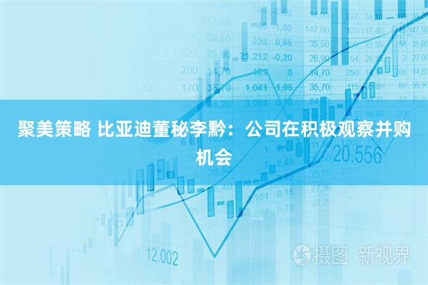 聚美策略 比亚迪董秘李黔：公司在积极观察并购机会