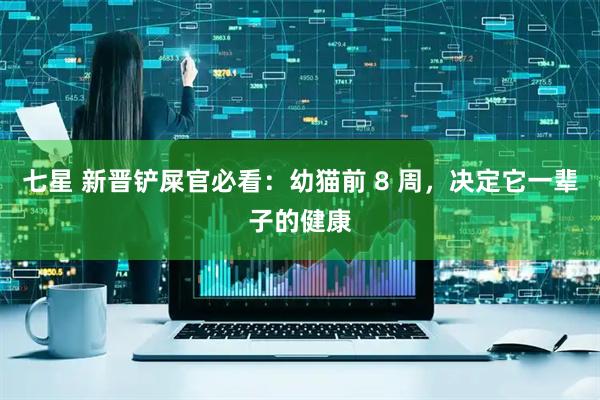 七星 新晋铲屎官必看:幼猫前 8 周,决定它一辈子的健康